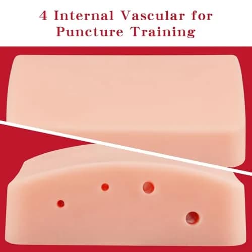 SimCoach Ultrasound-Guided Vascular Access Model, Ultrasonic Puncture Phantom | Realistic Training Experience thumbnail 5