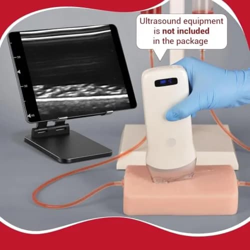SimCoach Ultrasound-Guided Vascular Access Model, Ultrasonic Puncture Phantom | Realistic Training Experience thumbnail 2