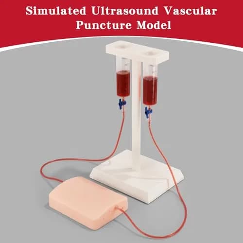 SimCoach Ultrasound-Guided Vascular Access Model, Ultrasonic Puncture Phantom | Realistic Training Experience thumbnail 3