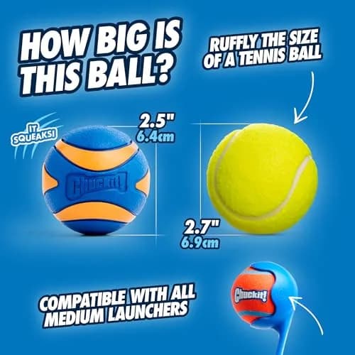 Chuckit! Ultra & Squeaker Ball Dog Toy Medium 6.4cm (2.5-inch) Pack of 3 | Durable Rubber Fetch Balls for Dogs 20-60 lbs thumbnail 5