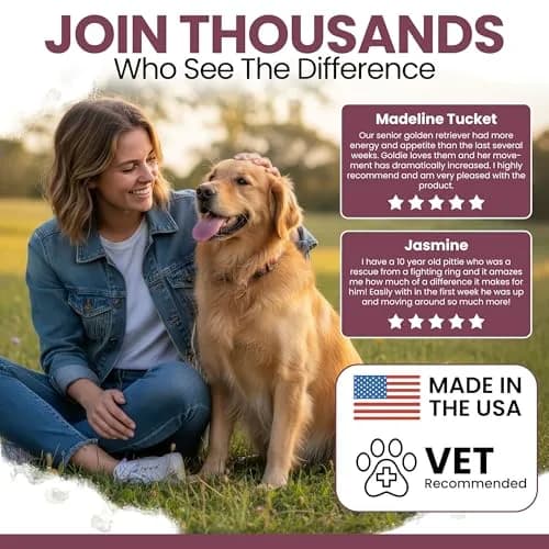 Chew + Heal Labs Senior Dog Multivitamin 120 Soft Chews | Supports Joints, Gut & Skin thumbnail 4