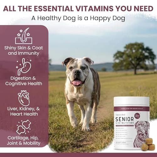 Chew + Heal Labs Senior Dog Multivitamin 120 Soft Chews | Supports Joints, Gut & Skin thumbnail 3