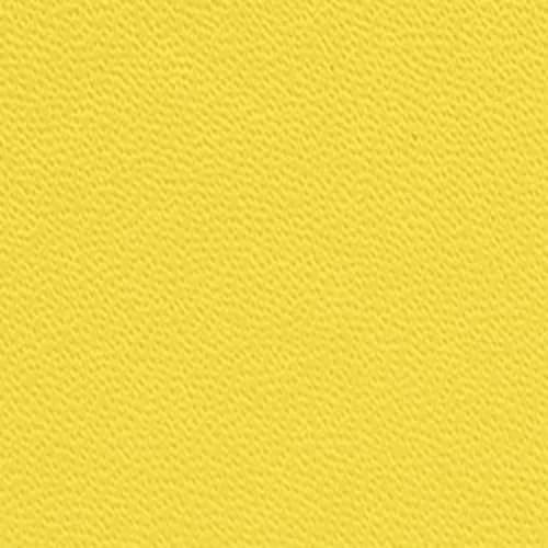 PAPERAGE Lined Journal Notebook 5.6 x 8 in (252 Pages, Yellow) | Acid-Free Paper for Smooth Writing — B. Lined-252 Pgs / Yellow