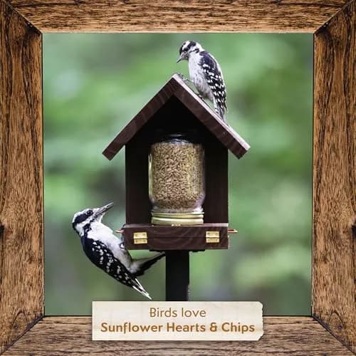 Morning Song Sunflower Hearts & Chips Wild Bird Seed 10 lb | Shell-Free, High-Energy Bird Food thumbnail 6