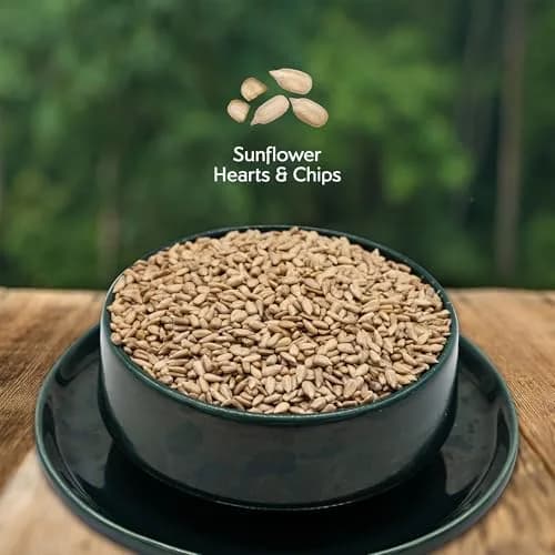 Morning Song Sunflower Hearts & Chips Wild Bird Seed 10 lb | Shell-Free, High-Energy Bird Food thumbnail 2