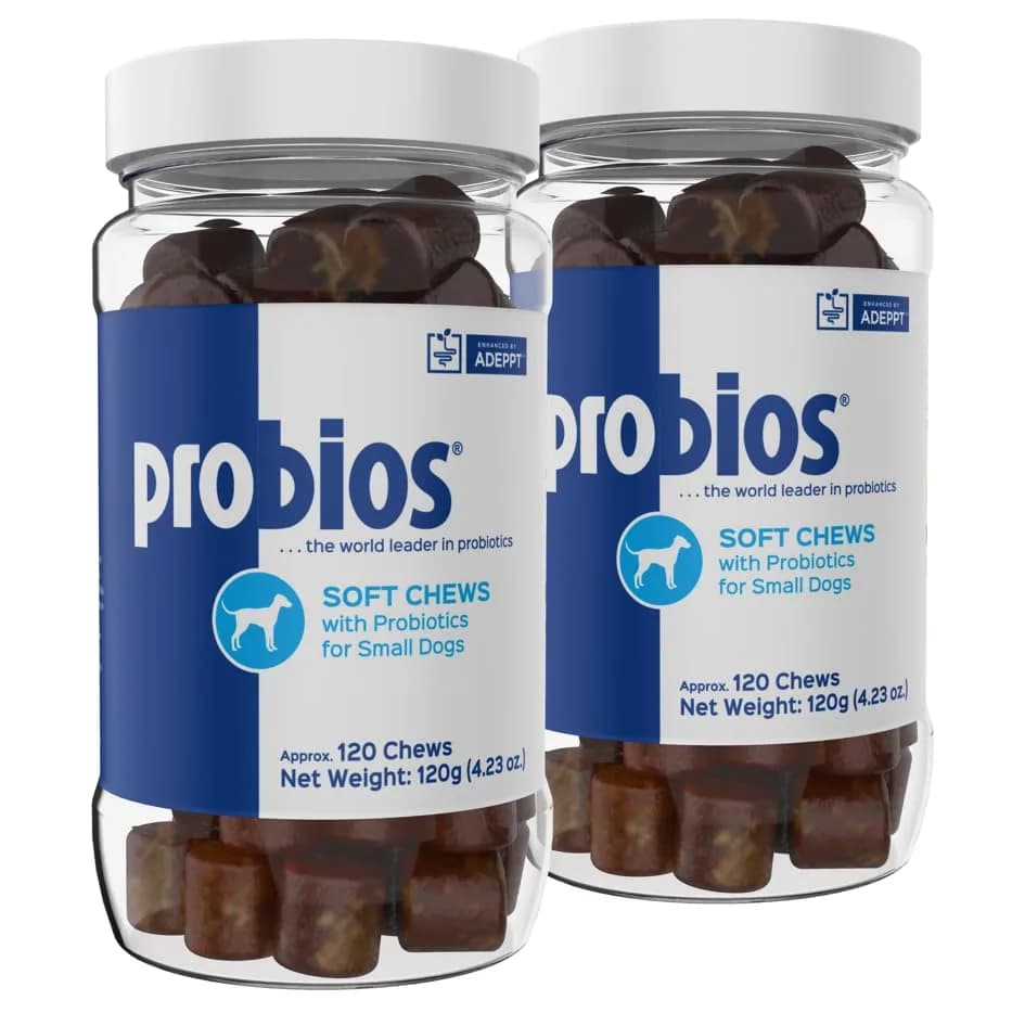 Probios Dog Probiotic Soft Chews, Chicken Liver, 120 Count | Gut & Immune Support for Medium & Large Dogs thumbnail 2