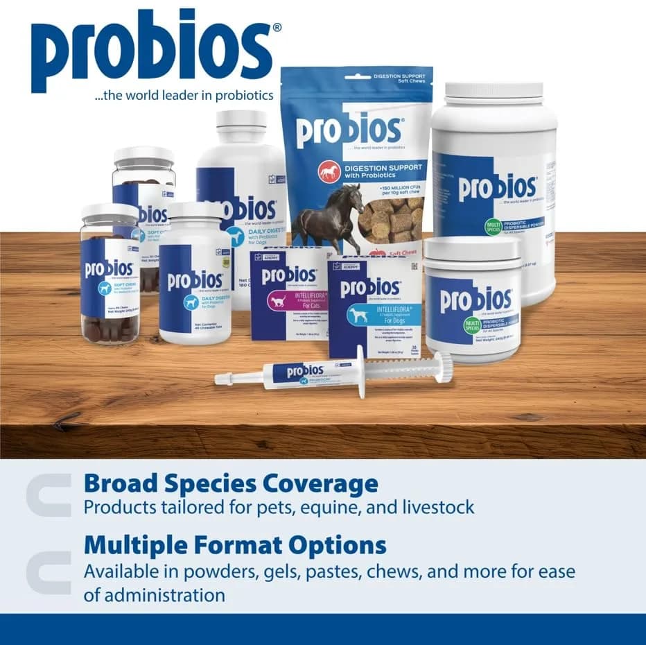 Probios Dog Probiotic Soft Chews, Chicken Liver, 120 Count | Gut & Immune Support for Medium & Large Dogs thumbnail 12