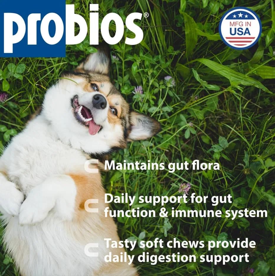 Probios Dog Probiotic Soft Chews, Chicken Liver, 120 Count | Gut & Immune Support for Medium & Large Dogs thumbnail 4
