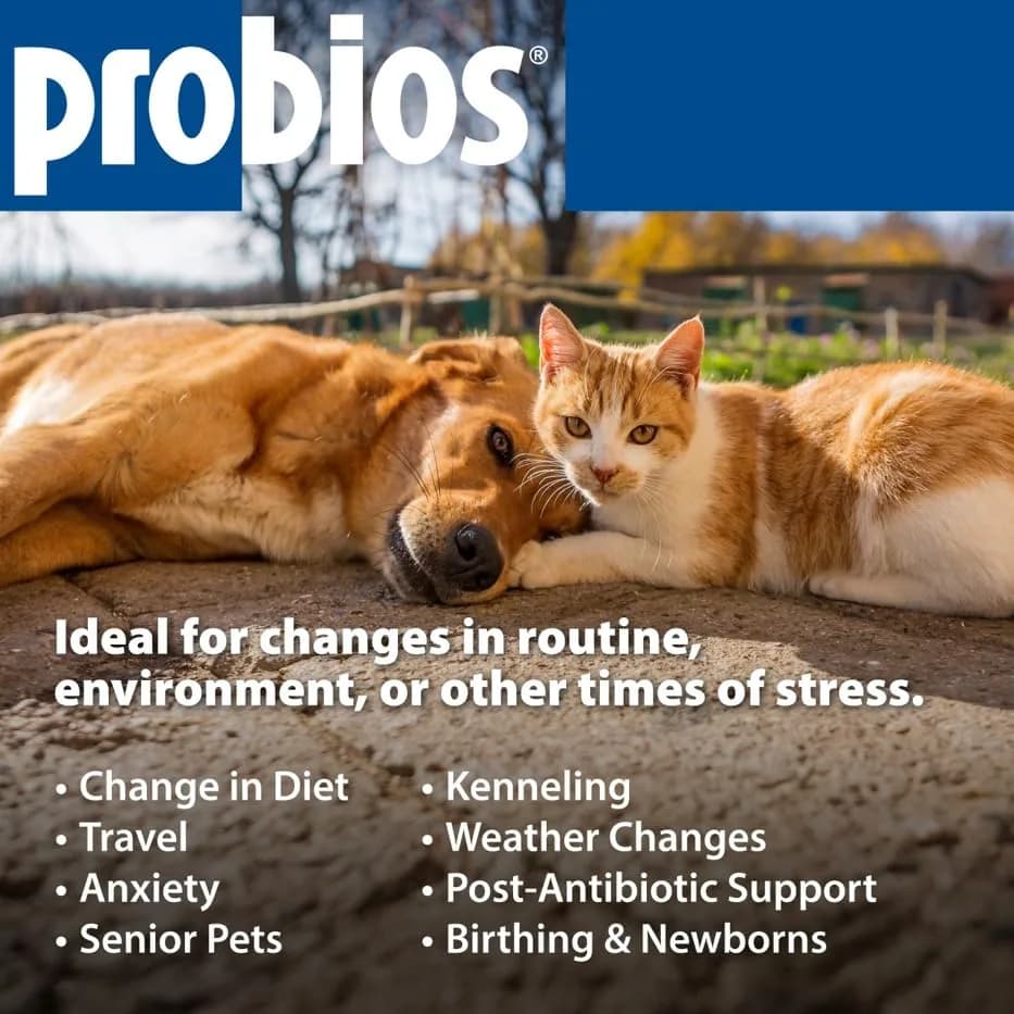 Probios Dog Probiotic Soft Chews, Chicken Liver, 120 Count | Gut & Immune Support for Medium & Large Dogs thumbnail 10