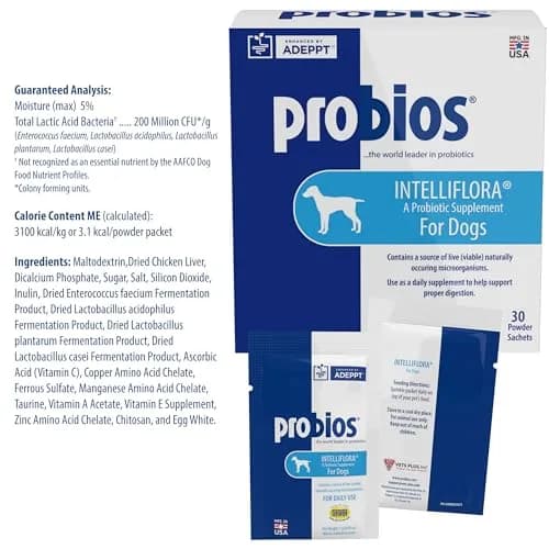 Probios Intelliflora Dog Probiotic Powder 30 Sachets | Shelf-Stable, 200 Million CFU/g, Supports Digestion & Immunity thumbnail 5