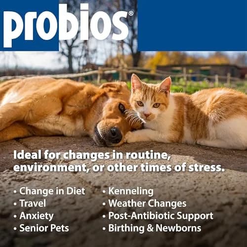 Probios Intelliflora Dog Probiotic Powder 30 Sachets | Shelf-Stable, 200 Million CFU/g, Supports Digestion & Immunity thumbnail 6