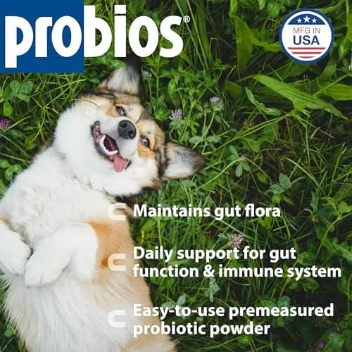 Probios Intelliflora Dog Probiotic Powder 30 Sachets | Shelf-Stable, 200 Million CFU/g, Supports Digestion & Immunity thumbnail 2