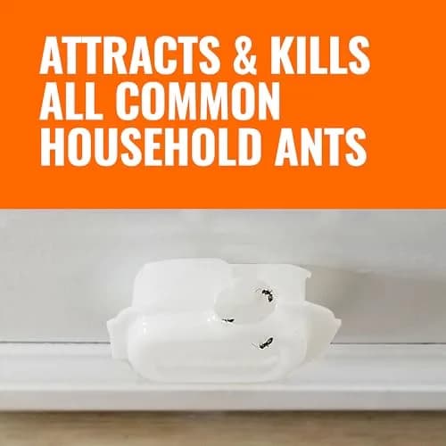 Terro Indoor Liquid Ant Baits 96 Count (12 Packs of 8) | Discreet Pest Control Device with Adhesive Strips thumbnail 8