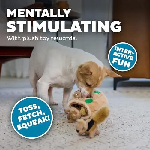 Outward Hound Hide-A-Squirrel Interactive Plush Dog Toy Puzzle with 3 Squeaky Squirrels, Small (Pack of 12) thumbnail 4