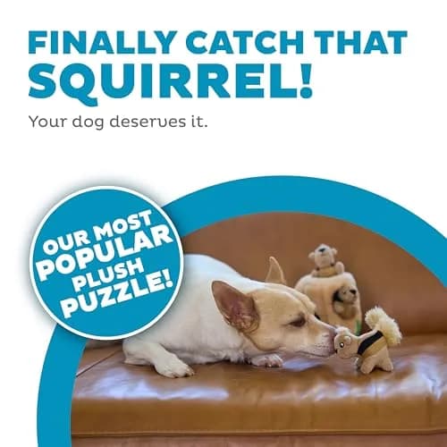 Outward Hound Hide-A-Squirrel Interactive Plush Dog Toy Puzzle with 3 Squeaky Squirrels, Small (Pack of 12) thumbnail 2