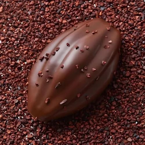 Fchil Silicone Cocoa Bean Mold 6-Cavity (2 Molds, 12 Cavities Total) | Professional Chocolate Candy Making thumbnail 5