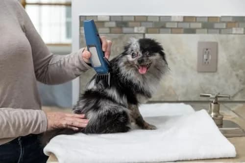 Andis Easy Clip Cordless II Pet Clipper Kit 11 Piece | Titanium-Coated Blade, Cordless Convenience thumbnail 3