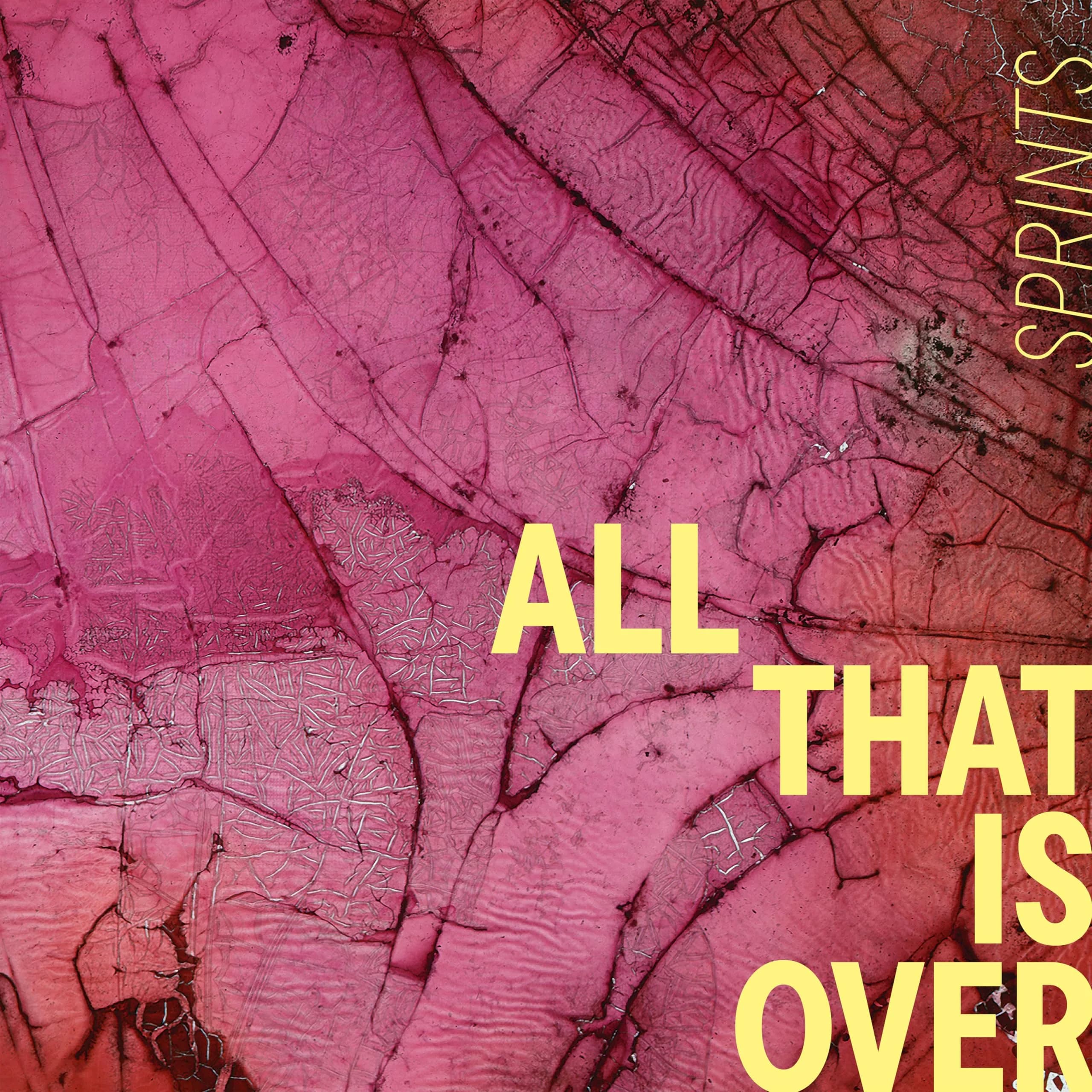 SUBPOP All That Is Over - Pink Marble | Alternative Rock Vinyl Record 12" - main product image