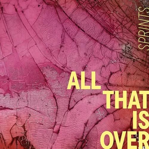 SUBPOP All That Is Over - Pink Marble | Alternative Rock Vinyl Record 12" thumbnail 1