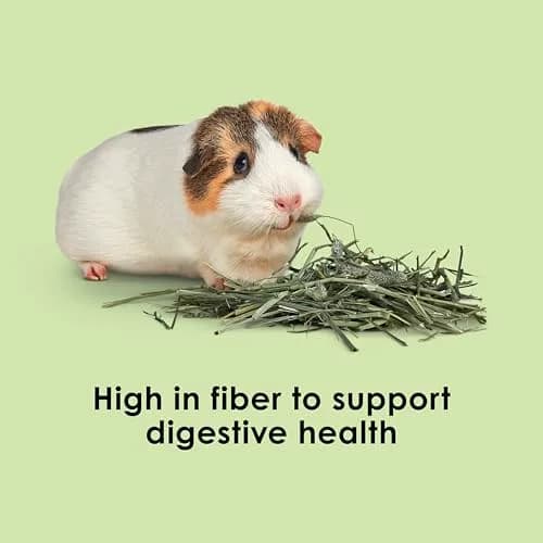Kaytee Timothy Hay for Rabbits, Guinea Pigs, Chinchillas, Gerbils, Hamsters - 24 lb (10.89 kg) | Supports Digestive Health thumbnail 4