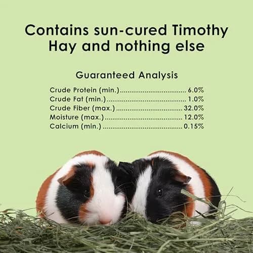 Kaytee Timothy Hay for Rabbits, Guinea Pigs, Chinchillas, Gerbils, Hamsters - 24 lb (10.89 kg) | Supports Digestive Health thumbnail 8