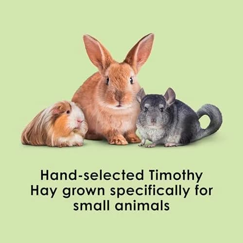 Kaytee Timothy Hay for Rabbits, Guinea Pigs, Chinchillas, Gerbils, Hamsters - 24 lb (10.89 kg) | Supports Digestive Health thumbnail 2