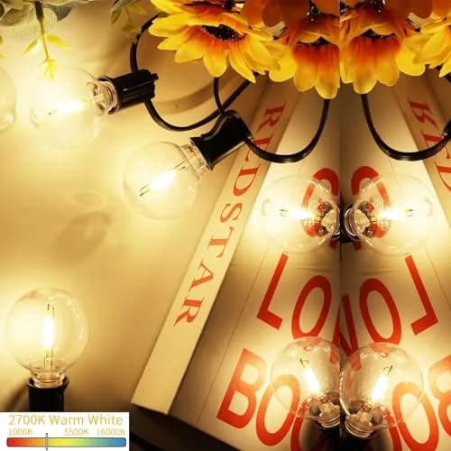 Svater 75 Pack G40 LED Replacement Bulb E12 Screw Base | Warm White, Dimmable, Plastic, Indoor/Outdoor thumbnail 7