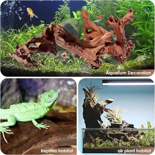 Azil Natural Driftwood 9''-12'' (2 Pieces, 0.71 kg) | Unique Aquarium Decor for Fish Tanks & Aquascaping thumbnail 4