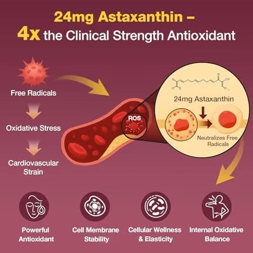 Talyvorlathor Liposomal Red Yeast Rice 1200mg with CoQ10 & Astaxanthin thumbnail 3