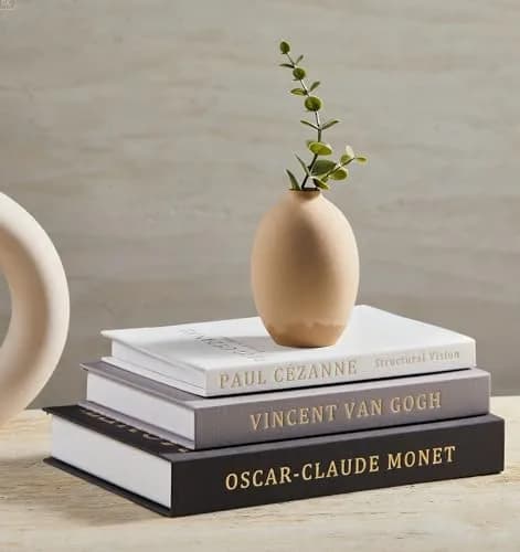 hongqu us Aesthetic Decorative Books Set of 3 Linen Fake Book Storage Box 20 cm (8 x 5 x 2 inches) | Realistic Elegance for Home Decor thumbnail 1