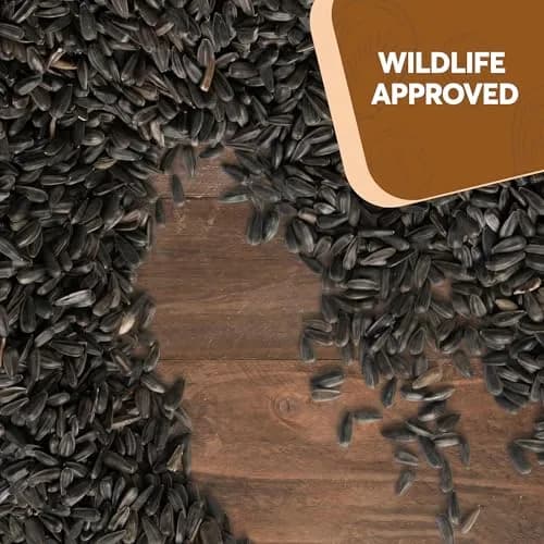 Trailmark Naturals 3 lb Black Oil Sunflower Seeds for Birds | Premium USA Wildlife & Backyard Feeders thumbnail 6