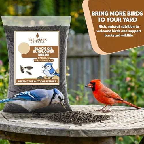 Trailmark Naturals 3 lb Black Oil Sunflower Seeds for Birds | Premium USA Wildlife & Backyard Feeders thumbnail 2