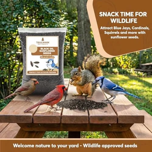Trailmark Naturals 3 lb Black Oil Sunflower Seeds for Birds | Premium USA Wildlife & Backyard Feeders thumbnail 3