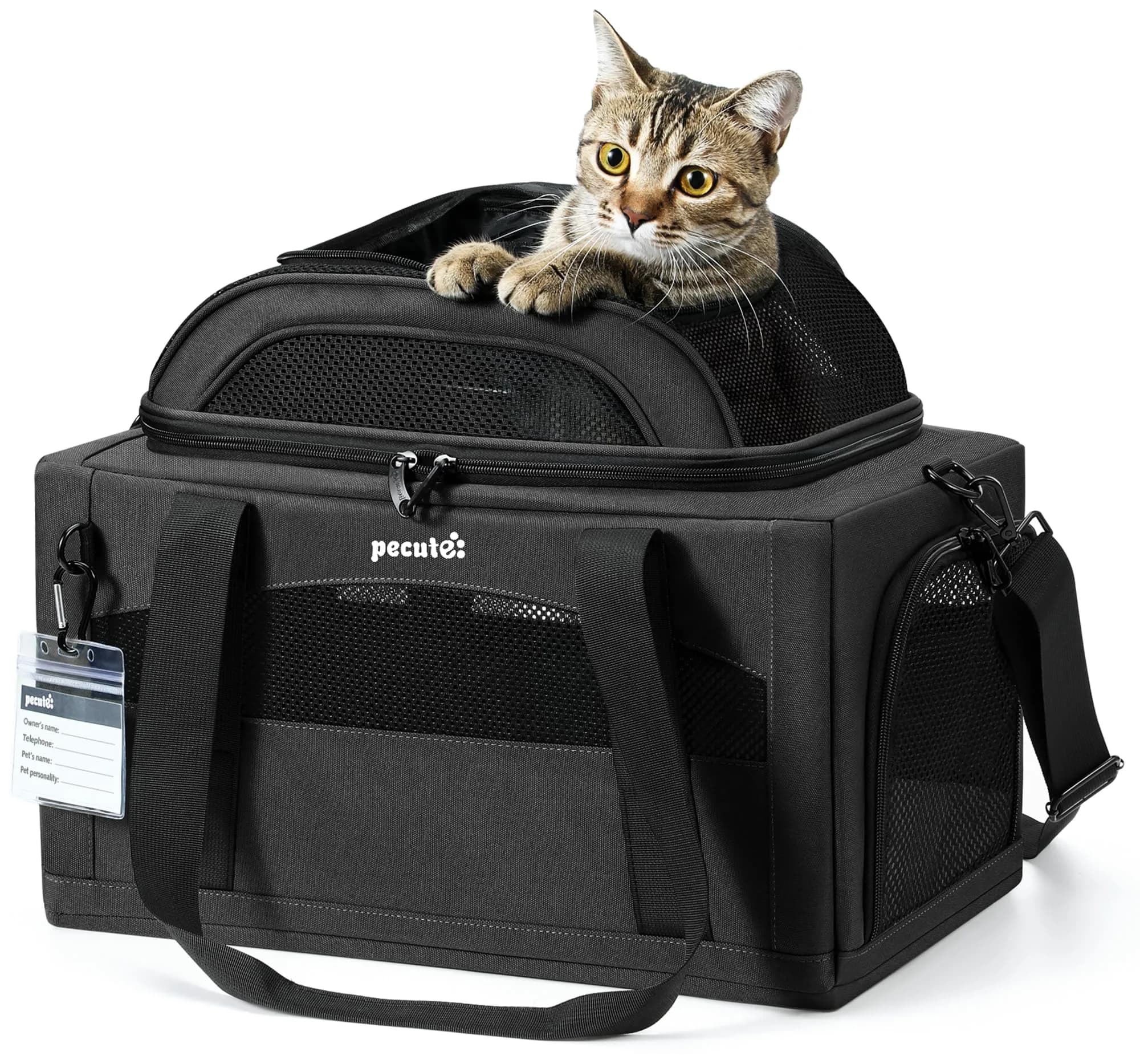 Pecute Top Expandable Airline Approved Pet Carrier for Cats, Dark Gray | Compact & Ventilated - main product image