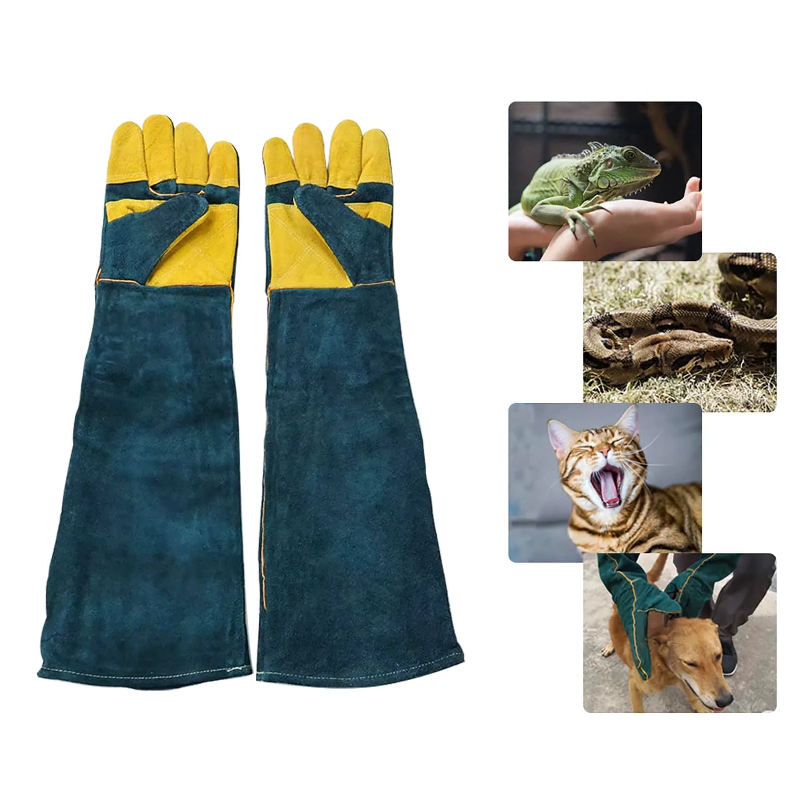 PeSandy Animal Handling Gloves 60cm (23.6 inch) Green | Bite & Scratch Resistant Cowhide — Improved Yellow Palm, 60 Cm