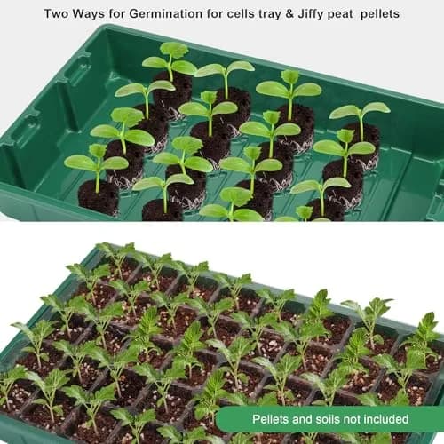 MIXC Green 10-Pack Seed Starter Tray with 400 Cells | 14.6"x 9.84"x 5.1" Seedling Greenhouse Grow Kit thumbnail 3