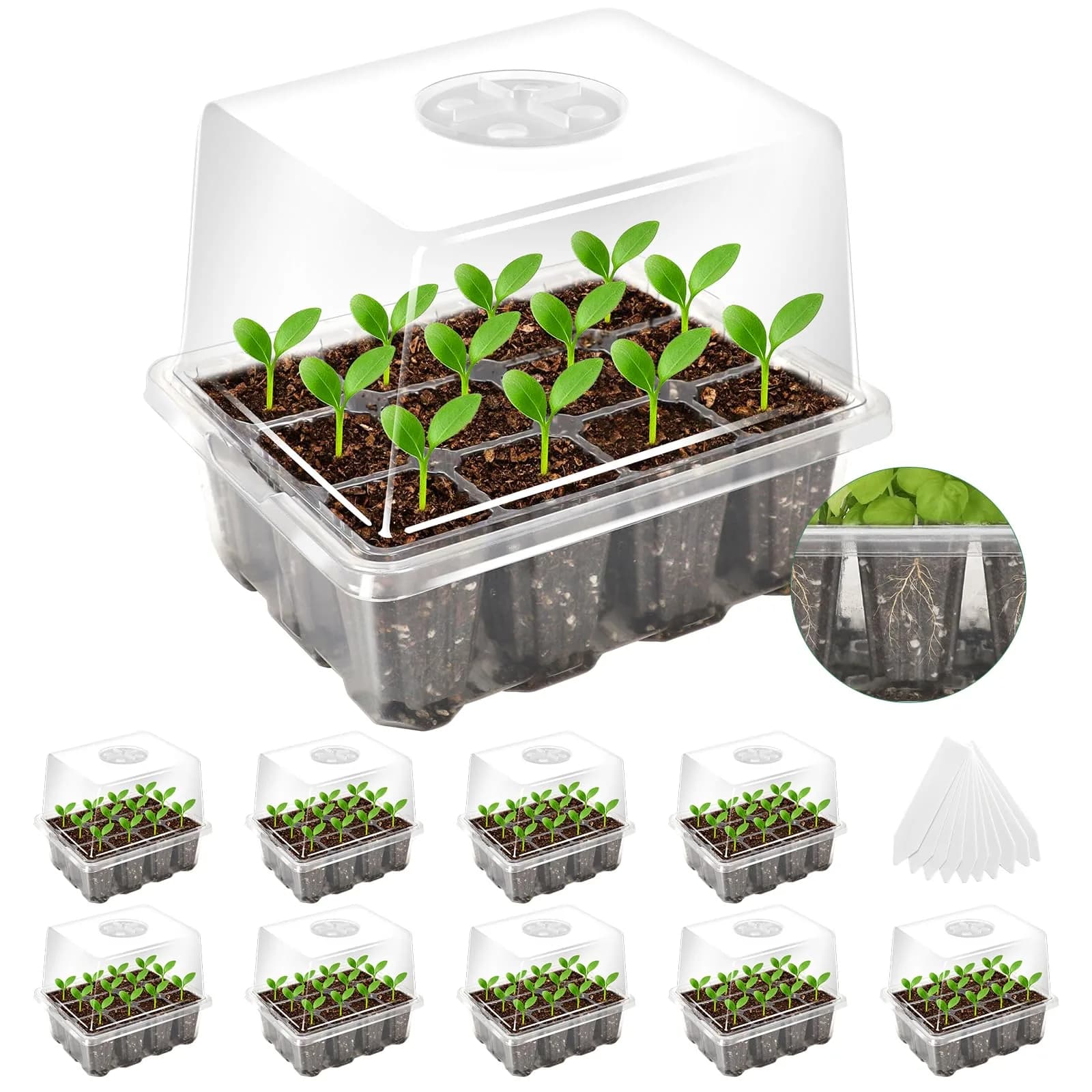 MIXC 10 Pack Seed Starter Tray with Elevated Dome, 120 Cells | 18.2cm (7.17in) x 15.7cm (6.18in) x 13cm (5.12in) — Transparent