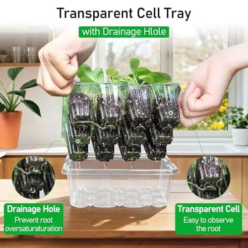MIXC 10 Pack Seed Starter Tray with Elevated Dome, 120 Cells | 18.2cm (7.17in) x 15.7cm (6.18in) x 13cm (5.12in) thumbnail 5
