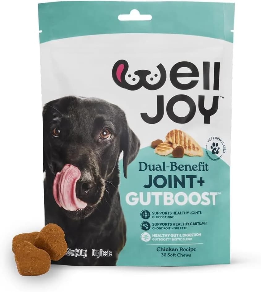 WellJoy Joint Dog Treat + Glucosamine, Chondroitin, GutBoost, 30ct | Supports Joints & Digestion thumbnail 2