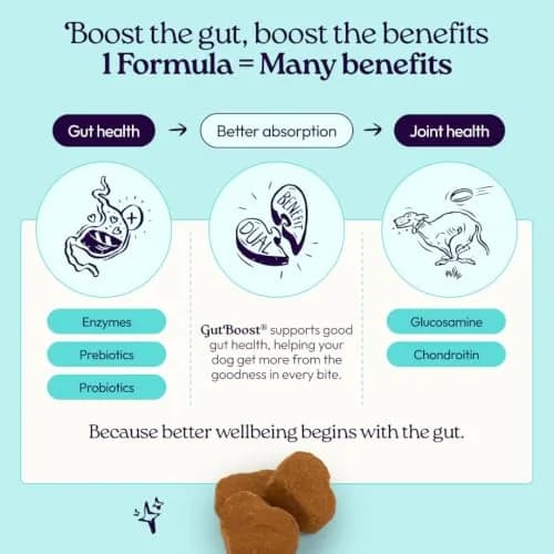 WellJoy Joint Dog Treat + Glucosamine, Chondroitin, GutBoost, 30ct | Supports Joints & Digestion thumbnail 6