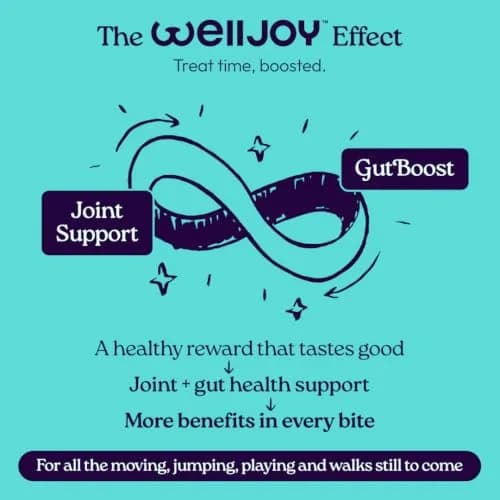 WellJoy Joint Dog Treat + Glucosamine, Chondroitin, GutBoost, 30ct | Supports Joints & Digestion thumbnail 7