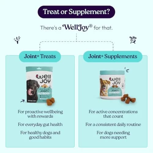 WellJoy Joint Dog Treat + Glucosamine, Chondroitin, GutBoost, 30ct | Supports Joints & Digestion thumbnail 8