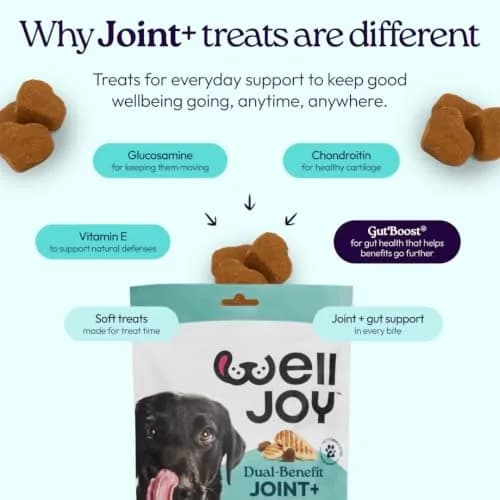 WellJoy Joint Dog Treat + Glucosamine, Chondroitin, GutBoost, 30ct | Supports Joints & Digestion thumbnail 5