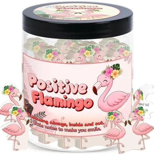 DEARMINE Positive Flamingo Jar | 60 Daily Affirmation Cards for Women & Friends — Positive Flamingo