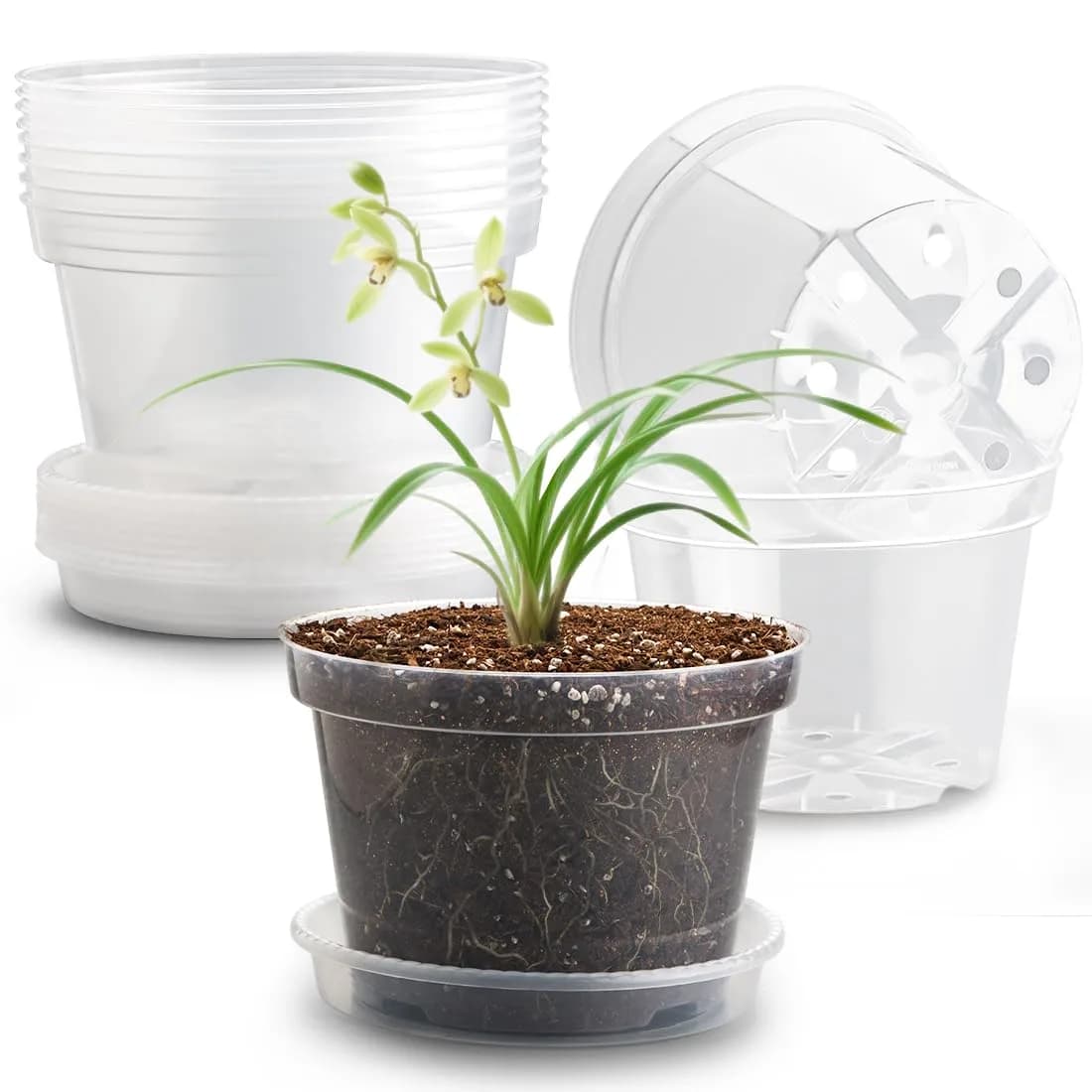 RooTrimmer 40 Pack 4 Inch Plastic Nursery Pots with Mesh Pad, Green | Sturdy & Reusable for Indoor/Outdoor Planting — Clear / 8 Inch