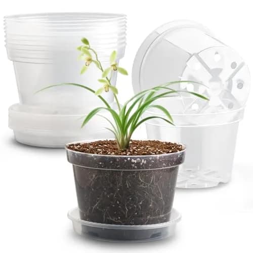 RooTrimmer Clear 8 Inch Plant Pots with Saucers (12 Pack) | Transparent Plastic Nursery Pots with Drainage Hole thumbnail 1