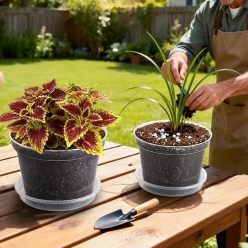 RooTrimmer Clear 8 Inch Plant Pots with Saucers (12 Pack) | Transparent Plastic Nursery Pots with Drainage Hole thumbnail 5