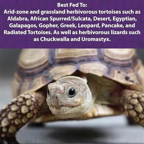 Mazuri Low Starch Tortoise Diet, Timothy Hay Flavor, 24 oz (Pack of 2) | High Fiber, Low Starch, Probiotic Fortified thumbnail 2
