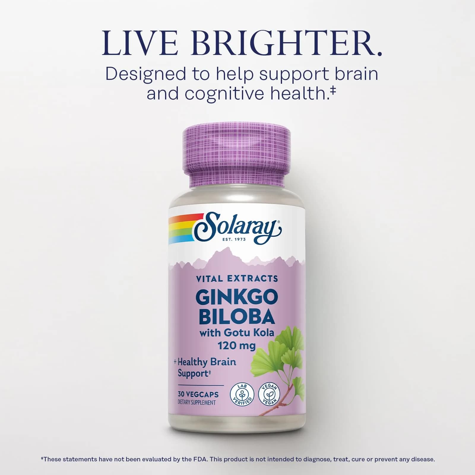 SOLARAY Ginkgo Biloba Extract with Gotu Kola | Brain & Female Libido Support | Vegan, Lab Verified, 60 Servings — Capsule