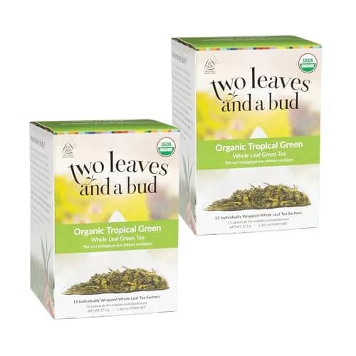Two Leaves and a Bud Organic Tropical Green Tea, Whole Leaf Sencha Green Tea, 15 Count (Pack of 2) | Refreshing tropical flavor, versatile & hydrating thumbnail 1